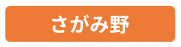 さがみ野